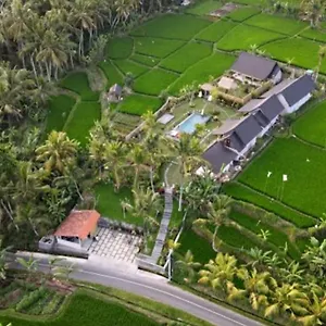  Gasthuis Coconut Indonesië