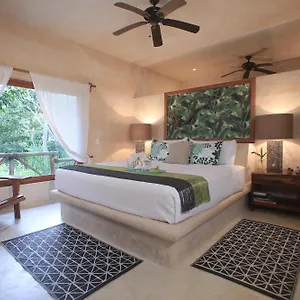  Villa Cachito De Cielo Luxury Jungle Mexico
