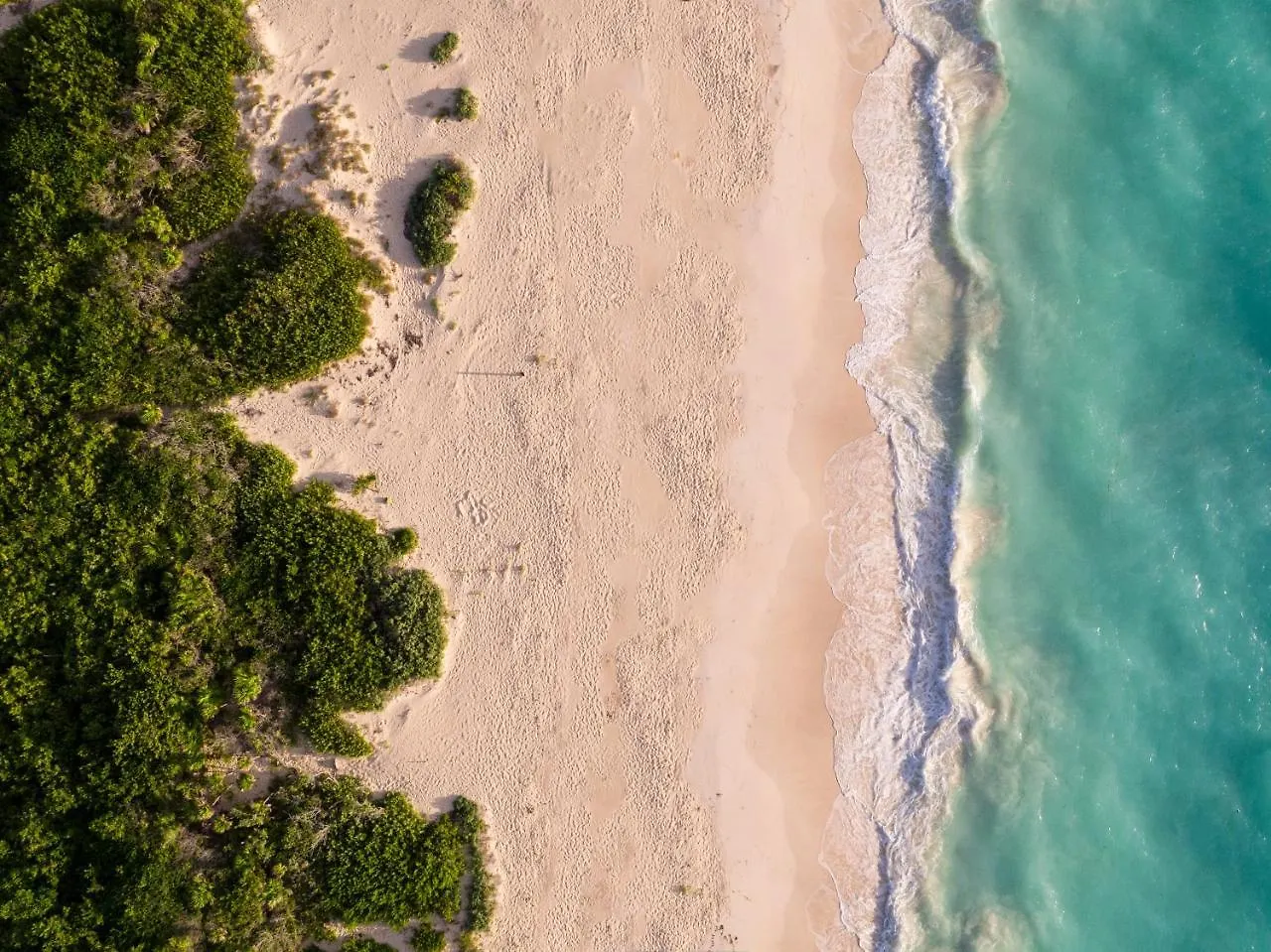 Resort Grand Palladium Select Costa Mujeres Cancun